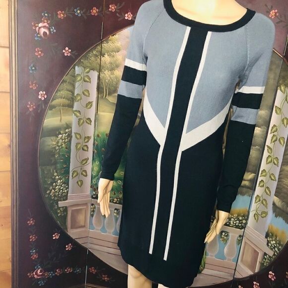 tarte Dresses & Skirts - Tarte Sweater Dress L/S Sz M Colorblock